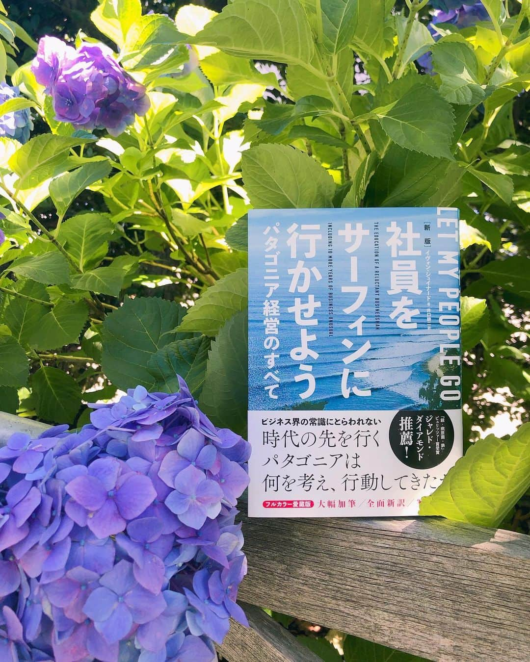 末吉里花さんのインスタグラム写真 - (末吉里花Instagram)「こんな日曜日はとびきり幸せ。太陽の下、潮風を浴び、鳥のさえずりを聴きながら、うちの庭で読書。私の活動の背中を押してくれた、パタゴニア創業者イヴォン・シュイナードさんの『社員をサーフィンに行かせよう』の新版は必読！カナダのジャーナリスト、ナオミ・クラインさんの序文も素晴らしい。My favorite time, reading a book in my garden. I strongly recommend this book. A new edition of “LET MY PEOPLE GO SURFING” by Yvon Chouinard. #patagonia #letmypeoplegosurfing #yvonchoinard #hydrangea #garden #sunday #パタゴニア #イヴォンシュイナード #社員をサーフィンに行かせよう #読書 #おススメ本 #日曜日の過ごし方 #紫陽花」6月16日 13時45分 - rikasueyoshi