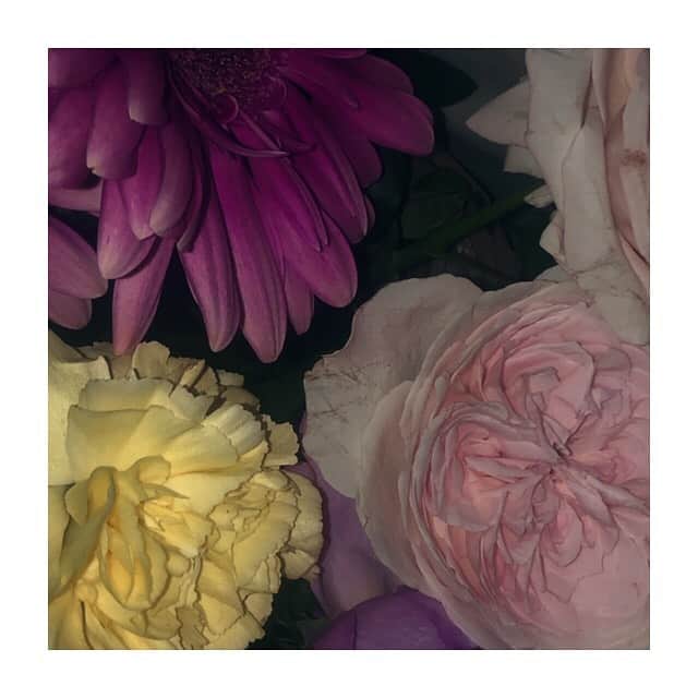 長月翠さんのインスタグラム写真 - (長月翠Instagram)「﻿ ﻿ flower❁︎﻿ ﻿ ﻿ ﻿ 昨日頂いたお花を少しずつ﻿ 持ち帰ってきました🥺﻿ ドライフラワー作成中.﻿ ﻿ ﻿ #flower #お花 #花﻿ #ドライフラワー #作り方﻿ #あんまちゃんと #わかってない﻿ ﻿」6月16日 13時46分 - miffy00517