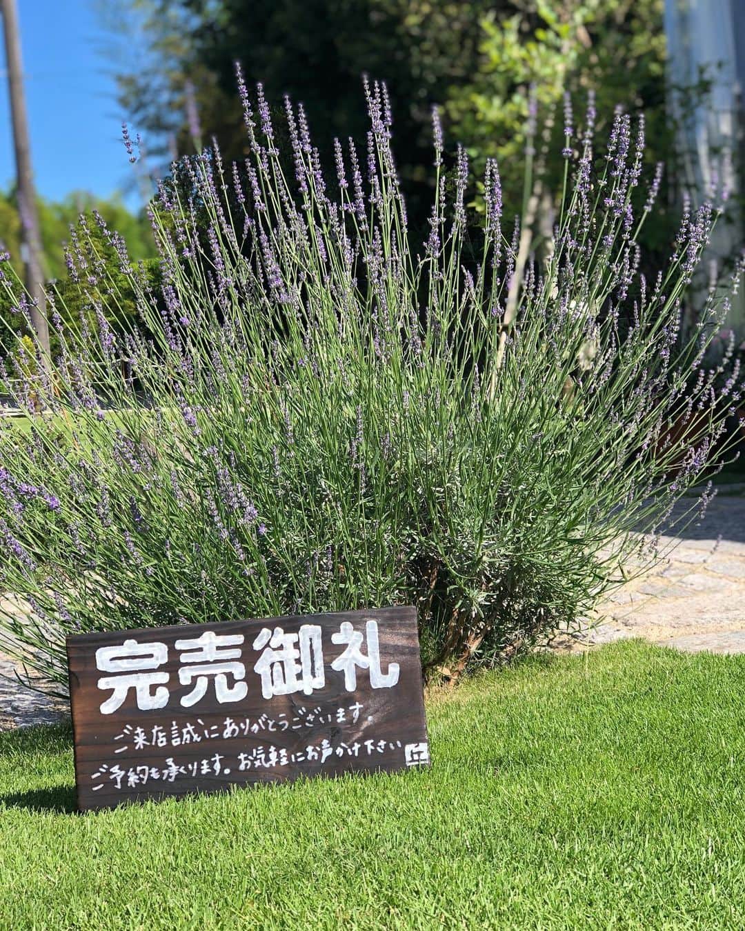 丘の上のパン屋 のグルメインスタ