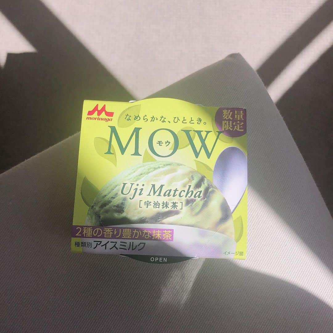 のインスタグラム：「アイス日和ですね〜(◜‧̮◝ ) ベランダが謎にたくさんあるお家に引っ越したので、どのベランダで食べるアイスが1番美味しいかというのを試しまくる夏にしたいと思います🌞 今回は #森永 #mow #宇治抹茶 #数量限定 の方の抹茶ですよー！ 私はね、この夏に限定で出るMOWの抹茶が大好き！！ いつものも芳醇で濃いめの渋めの抹茶が感じられて好きなんだけど、 この二つの抹茶が混ざり合ってるのがちょー好み！ いつもよりまろやかで、優しく、微笑みかけてくれる味☺️ #アイ活 #icecream #morinaga #ベランダアイス #コンビニアイス #新作アイス #他にもベランダの活用法あったら教えてください」