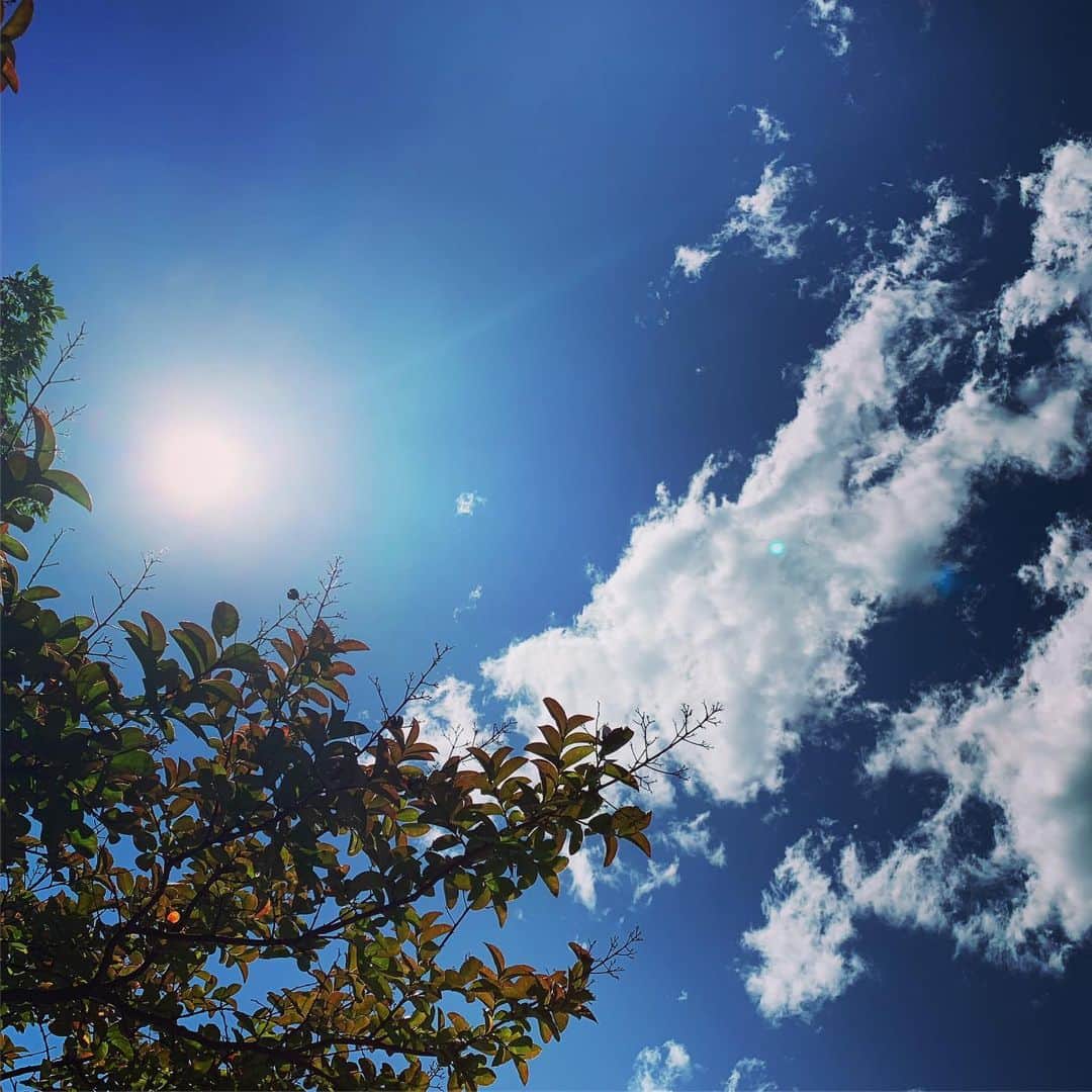 鈴木渉さんのインスタグラム写真 - (鈴木渉Instagram)「風のよく吹く、梅雨の合間の晴天☀️」6月16日 15時13分 - watarumble0223