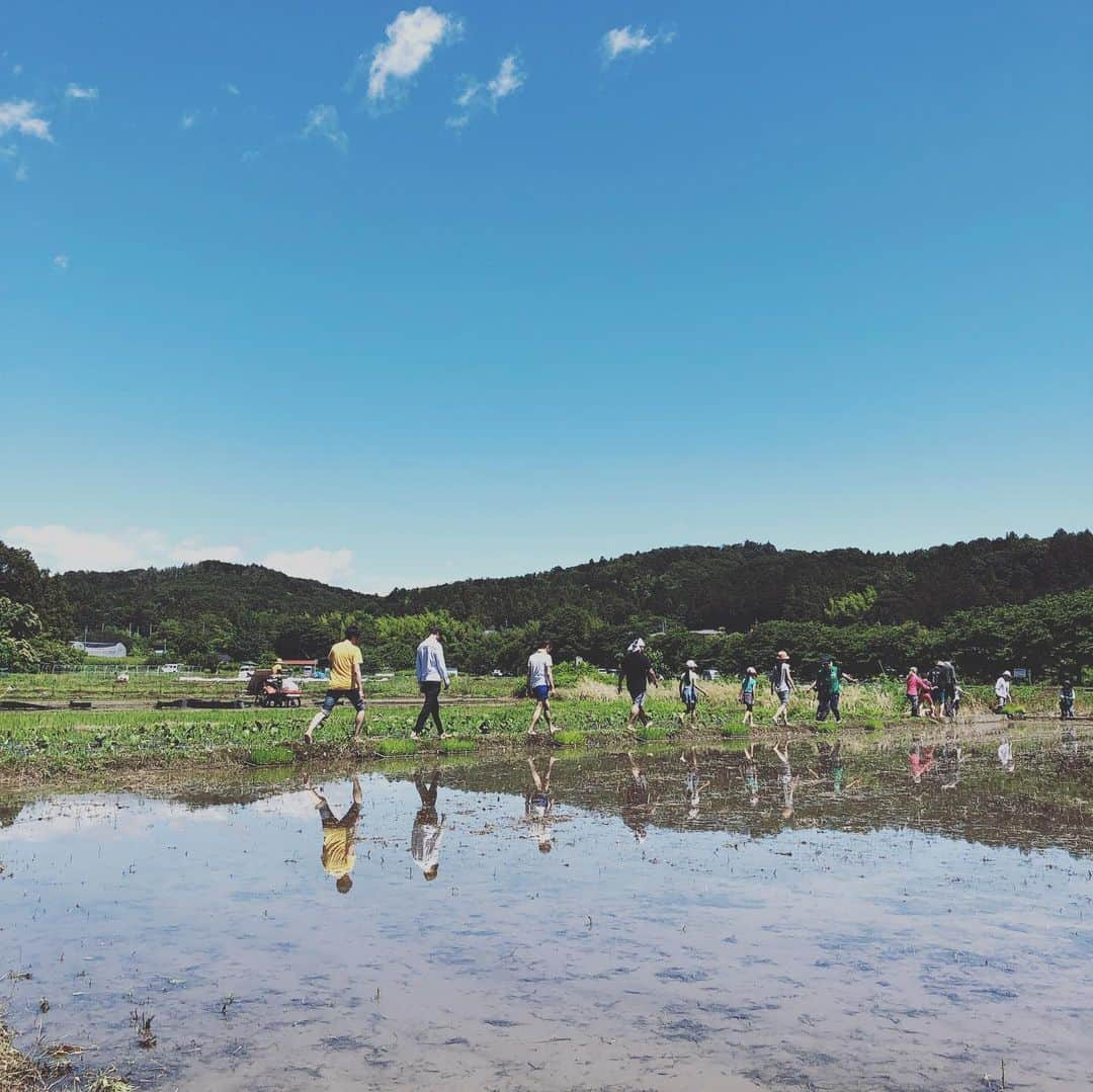 林ゆうきさんのインスタグラム写真 - (林ゆうきInstagram)「今日は作曲家はおやすみ。ウユニ塩湖みたいな田んぼで田植え体験してきました！」6月16日 16時13分 - yukihayashi1231