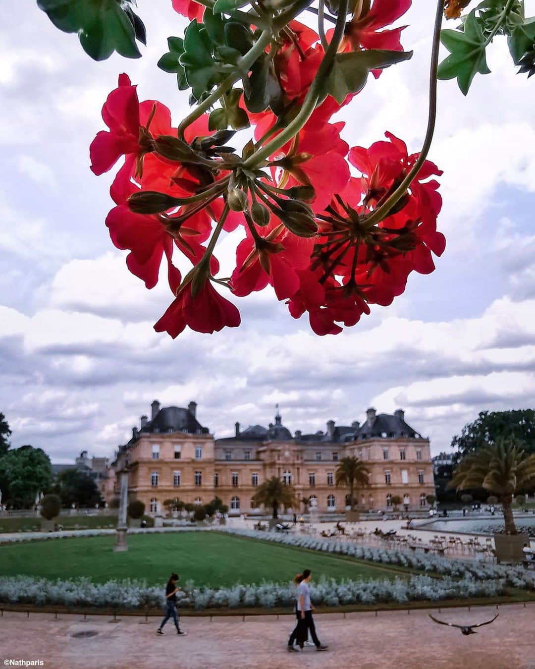 nathparisさんのインスタグラム写真 - (nathparisInstagram)「Walk in the Luxembourg Garden 🌹 Have a nice Sunday! #Paris」6月16日 16時22分 - nathparis