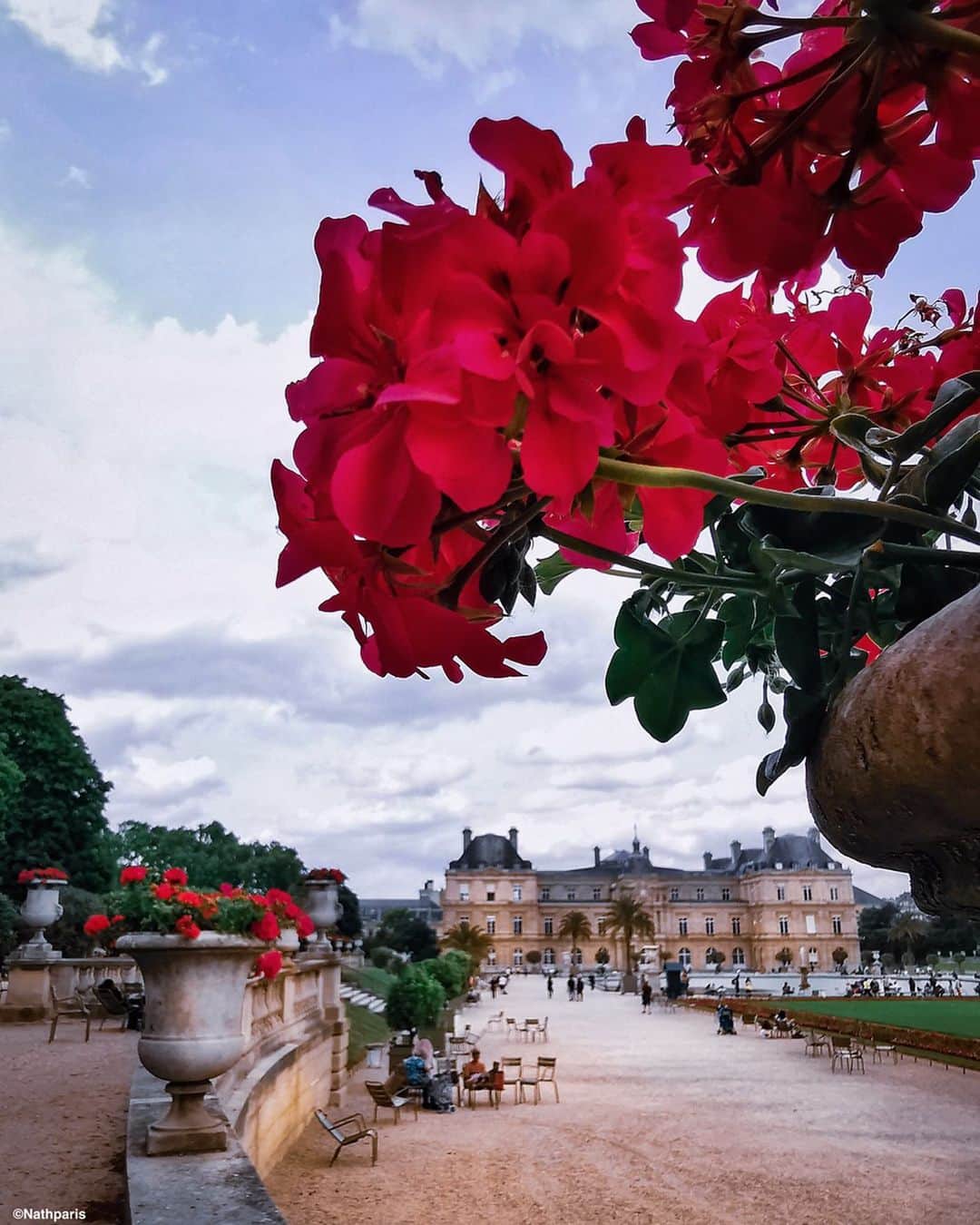 nathparisのインスタグラム：「Walk in the Luxembourg Garden 🌹 Have a nice Sunday! #Paris」
