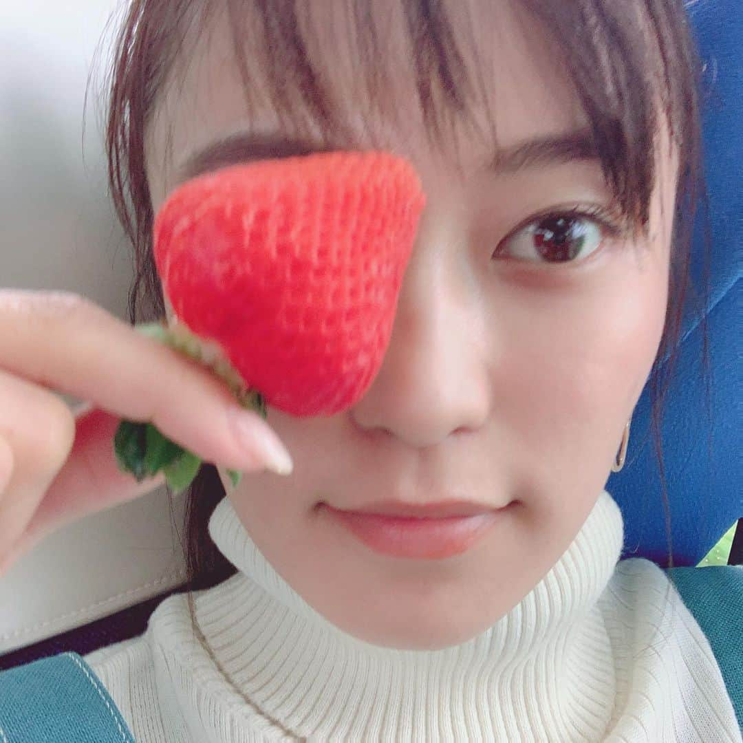 小島瑠璃子さんのインスタグラム写真 - (小島瑠璃子Instagram)「🍓 夏瑞 なつみずき という銘柄の北海道苺😍 おっきくて甘すぎる！ 前田さんご馳走さまでした✨」6月16日 16時27分 - ruriko_kojima