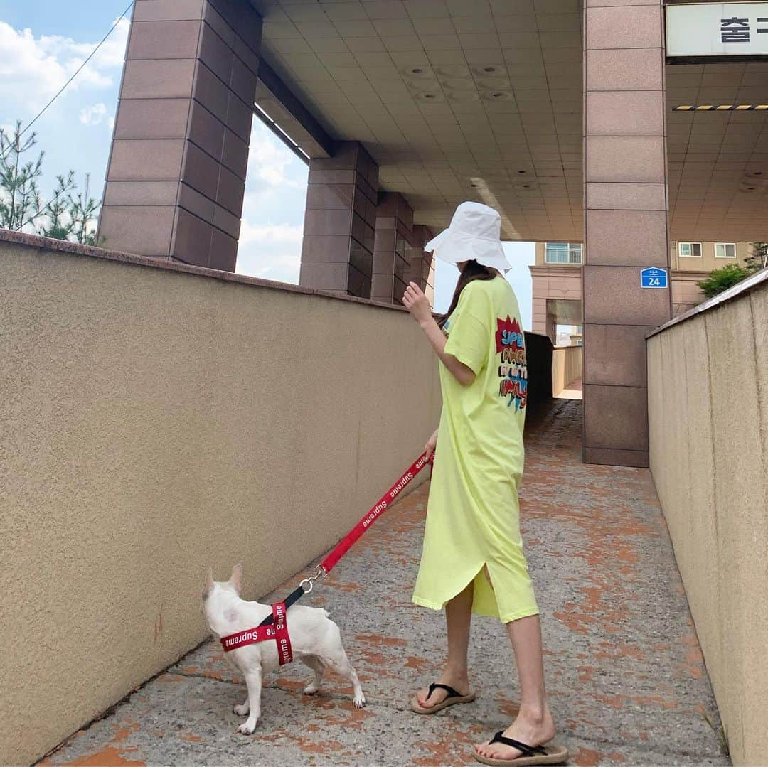 Hyemiさんのインスタグラム写真 - (HyemiInstagram)「주말엔 산책이지💚」6月16日 16時29分 - hinzajoa