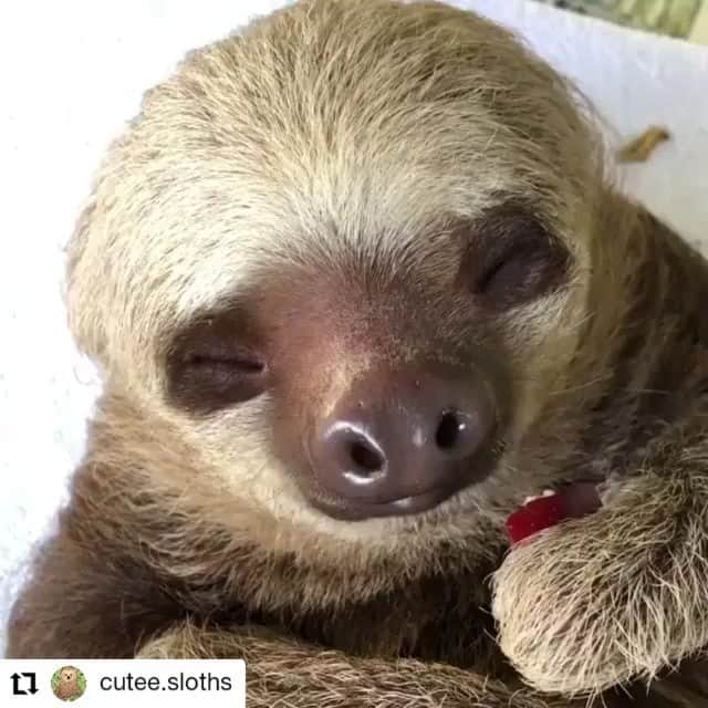 ガソリングラマーのインスタグラム