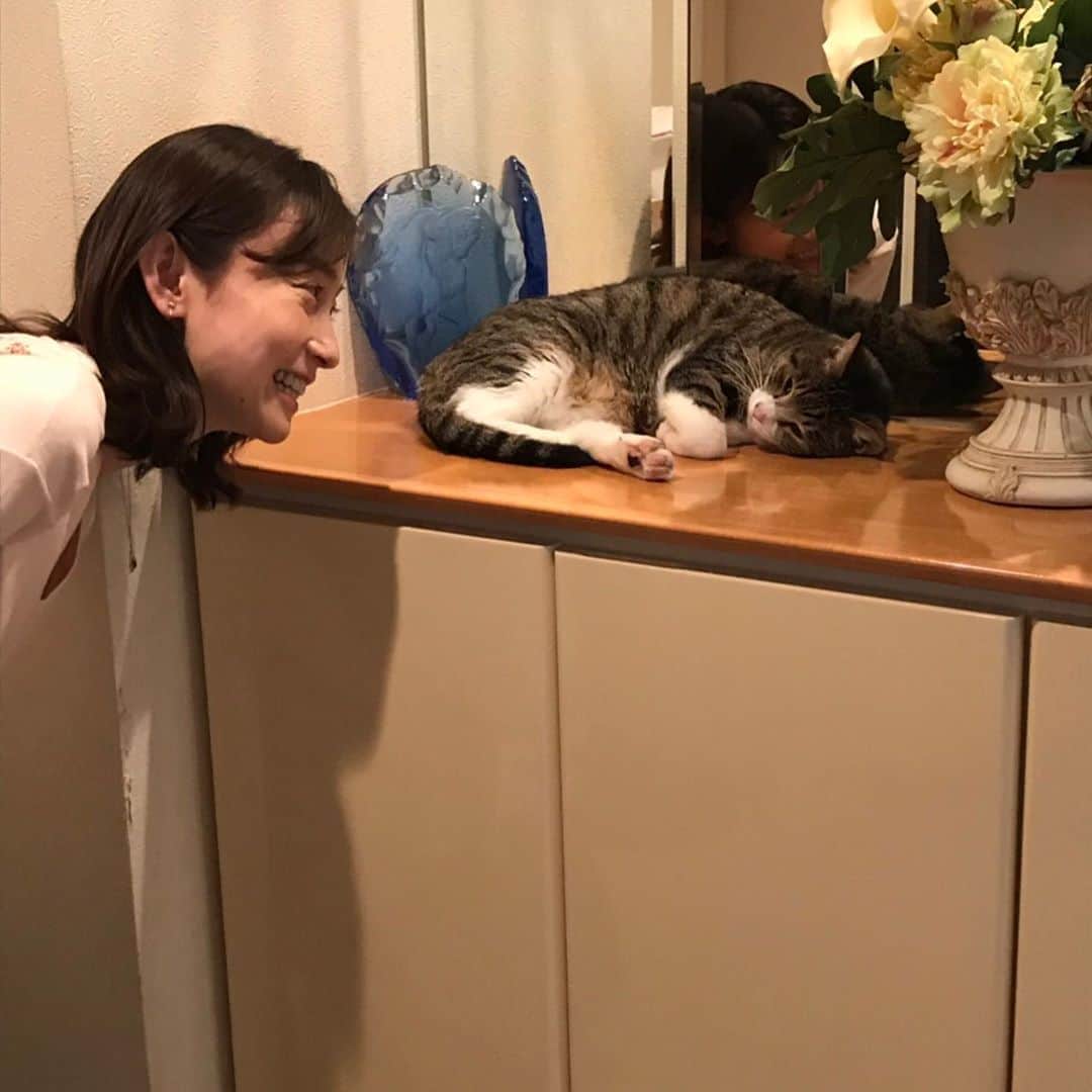 小橋めぐみのインスタグラム：「友人宅の猫にご挨拶。 彼女の家には、猫が10匹います。 子猫は保護された猫です。 最初はとても弱っていたそうですが、 今はとっても元気！ よかった😿 沢山遊んで、ご飯を食べたら、こてっと寝ていました。 小さな命が愛おしくて、堪らない。」