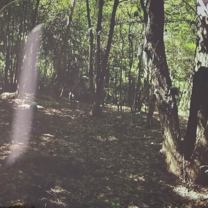 Baekのインスタグラム：「CHRISTIAN BOLTANSKI」