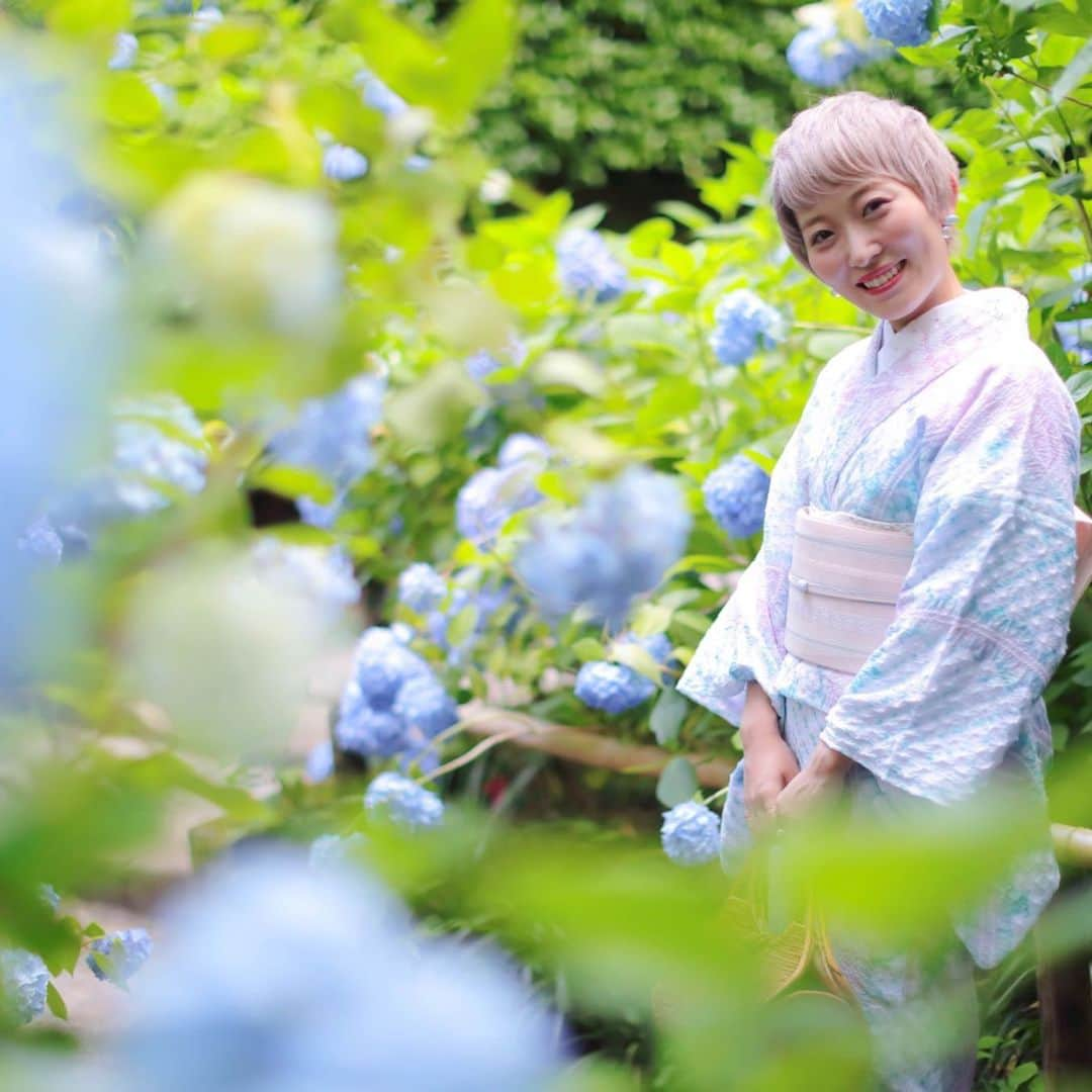 くまみきさんのインスタグラム写真 - (くまみきInstagram)「紫陽花柄の絞りの浴衣を着物としてコーディネートしました💠﻿ ﻿ 着物 @kimonobynadeshiko  バック @furifufurifu ﻿ ﻿ Photo by @boss.aurouge.happyshoot ﻿﻿ ﻿﻿ #鎌倉 #明月院 #紫陽花 #着物 #着物コーデ #浴衣﻿ #kimono #kimonostyle #着物コーディネート #ふりふ #kimonobynadeshiko #ゆかた #yukata」6月16日 18時56分 - kumamiki