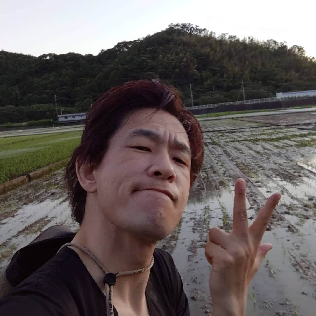 立川こしらさんのインスタグラム写真 - (立川こしらInstagram)「今日の田植えは終了！ 予定の2倍をクリアする所は、さすが真打ちだ。」6月16日 19時04分 - kosira.t