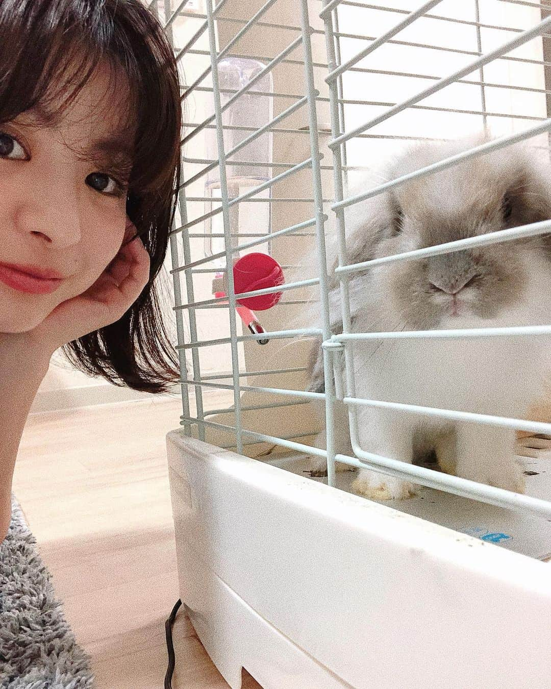 田中優衣さんのインスタグラム写真 - (田中優衣Instagram)「てんてんと私🐰 初めてのツーショット ゲージの中じゃないとツーショットなんて 撮れたもんじゃない。笑」6月16日 19時15分 - heisei_8nen