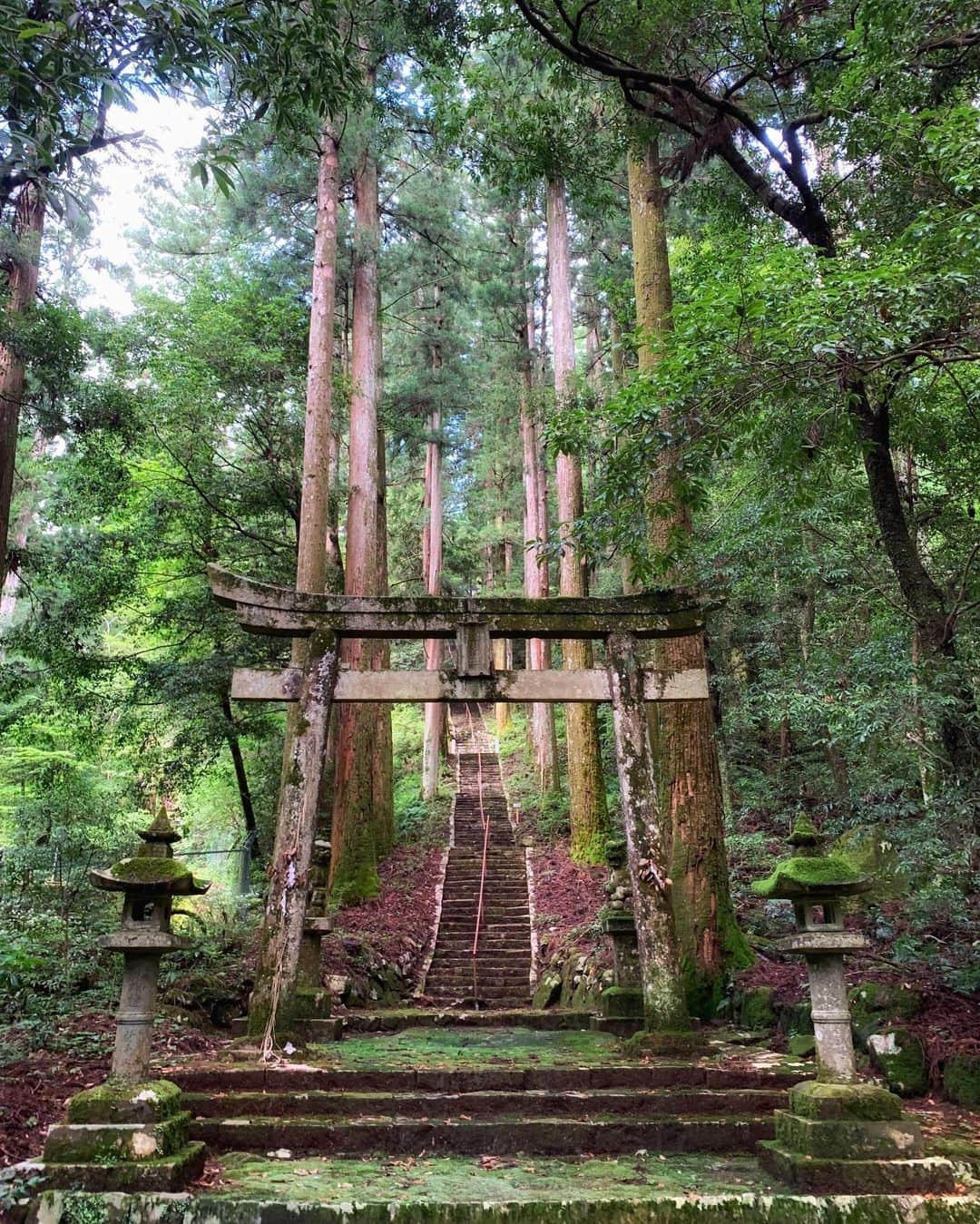 JAPANのインスタグラム：「瀧神社 Gifu」