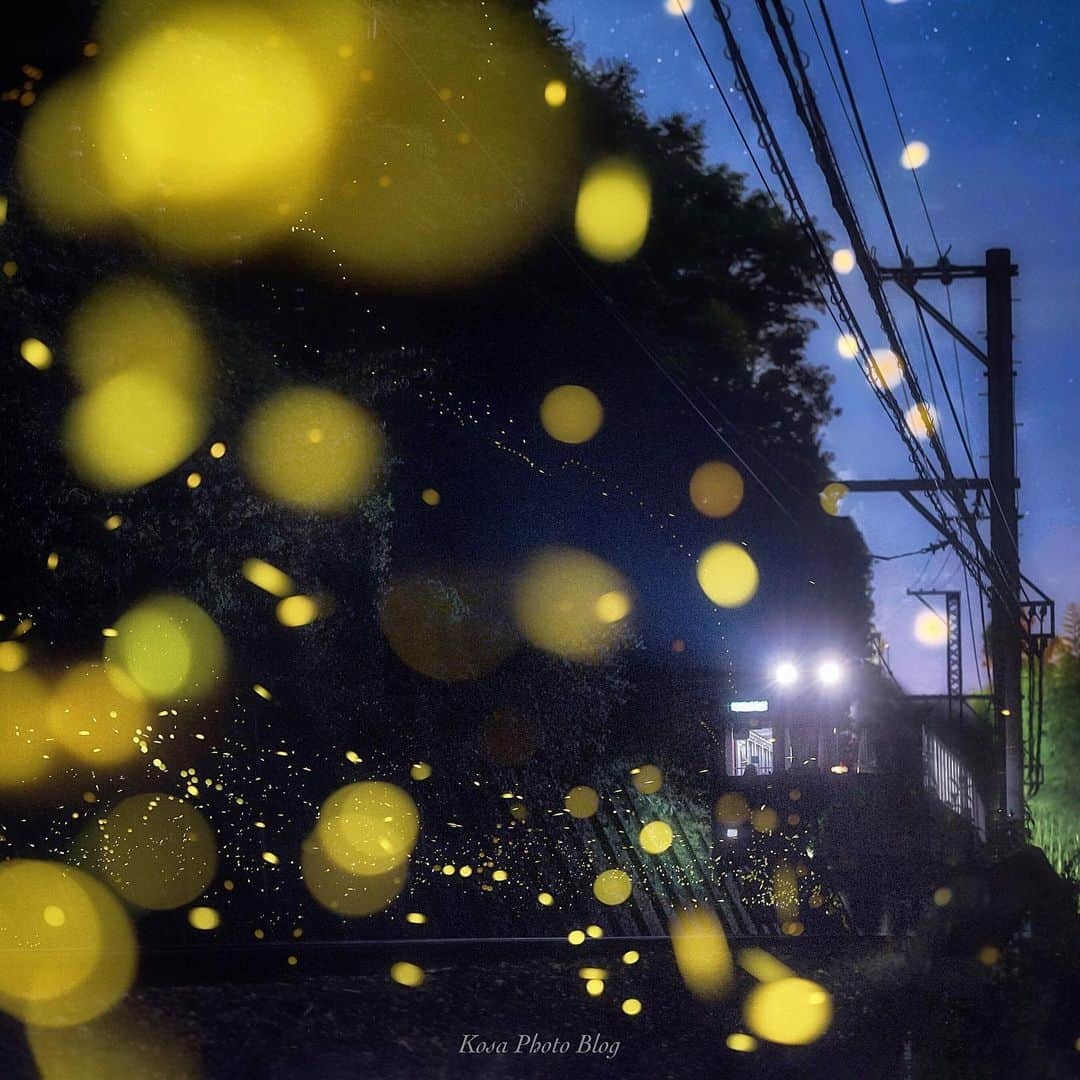 コサさんのインスタグラム写真 - (コサInstagram)「銀河鉄道の夜 姫蛍が銀河のように輝いてくれました🤩 . 昨晩は慣れないMacと格闘してPostするのを忘れてました🤣 . Location:Japan Data:2019.6.3 . #art_of_japan_ #tokyocameraclub #dpj_member #team_jp_ #IG_PHOS #photo_jpn #ptk_japan #pt_life_ #bestjapanpics #Lovers_Nippon #longexposure_japan #japan_night_view_member #LBJ_members #japan_great_view #colore_de_saison #s_shot #kf_gallery_vip #members_super_night_channel #ADDICTED_TO_NIGHTS #sorakataphoto #bestphoto_japan #Rox_Captures #ブライトリング陸 #ブライトリング空 #longexpoelite #bns_longexp #nipponpic_member #広がり同盟メンバー #light_nikon #タム鉄フォトコン . カメラ:D750  レンズ:AF-S NIKKOR 70-200mm f/2.8G .」6月16日 19時24分 - kosa_photo