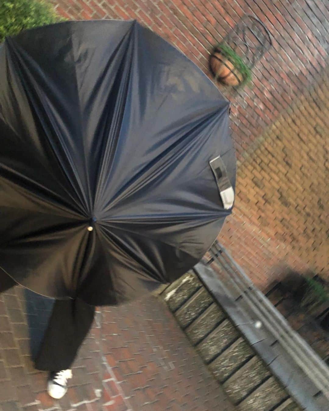 大友花恋さんのインスタグラム写真 - (大友花恋Instagram)「傘、ばさばさっ！ #今夜はあなたの番です」6月16日 19時37分 - karen_otomo