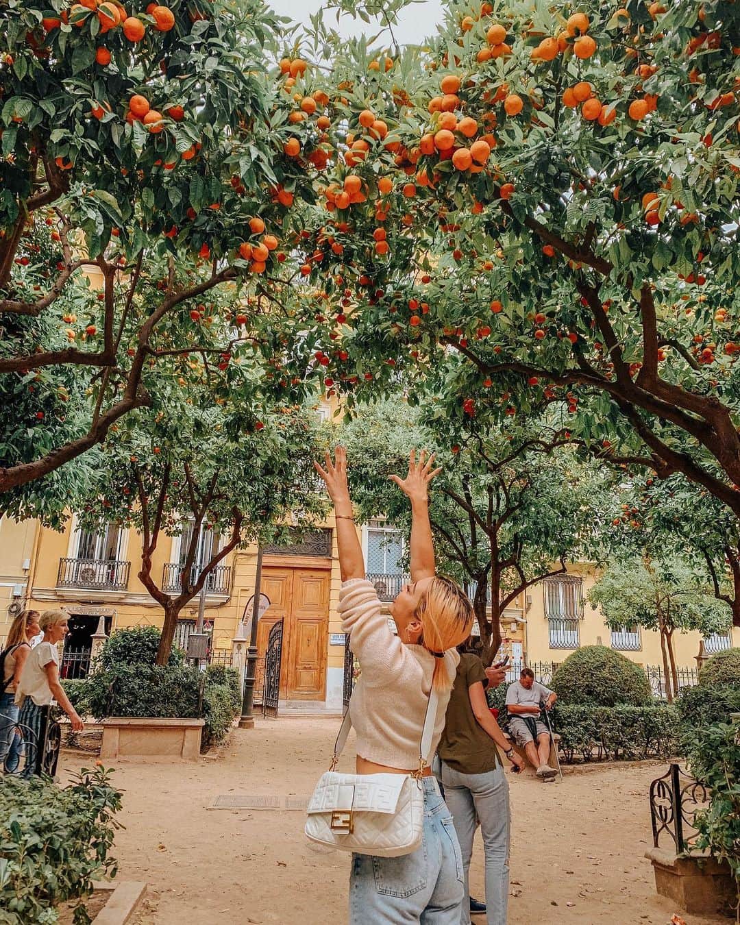 植野有砂さんのインスタグラム写真 - (植野有砂Instagram)「Valencia orange 🍊🤩!? バレンシアにいたのにオレンジ食べなかったなぁ🥺 #🍊#Valencia」6月16日 19時47分 - alisaueno