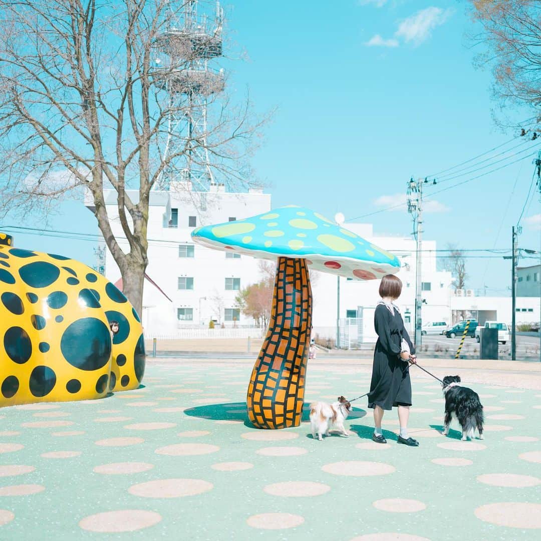 Kobe Japan Water artのインスタグラム：「"🍄🕵️‍♀️" . どこかから感じる視線. #かぼちゃが怪しい #もしかしてスパイ」