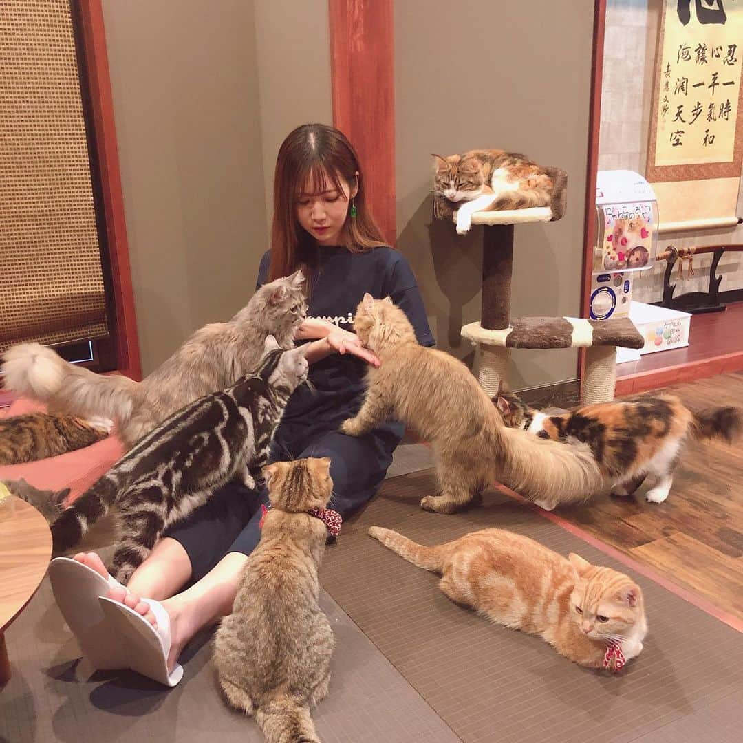 サラさんのインスタグラム写真 - (サラInstagram)「猫カフェ行ったらめっちゃ猫にモテた🐈 今日のピアスはminneで買ったメロンソーダとコーラ🍈  #ピアス #猫カフェ」6月16日 20時57分 - sara_parin