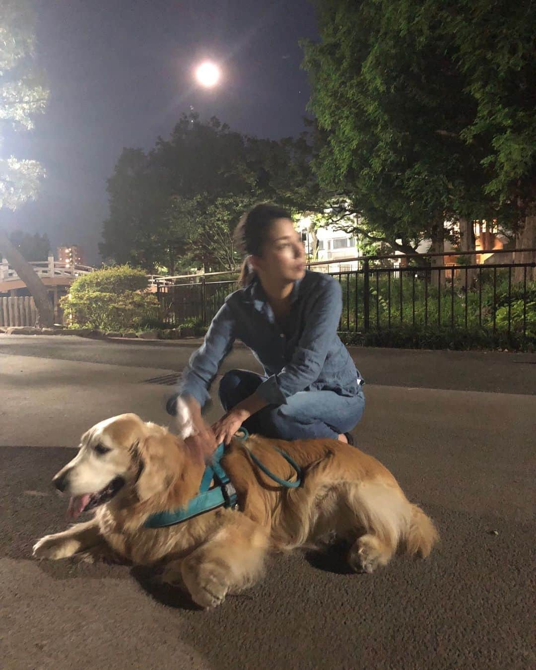 高橋ひとみさんのインスタグラム写真 - (高橋ひとみInstagram)「仕事から帰って夜のお散歩。 🌕が大きくてきれい❗️」6月16日 21時58分 - hitomi_momoe