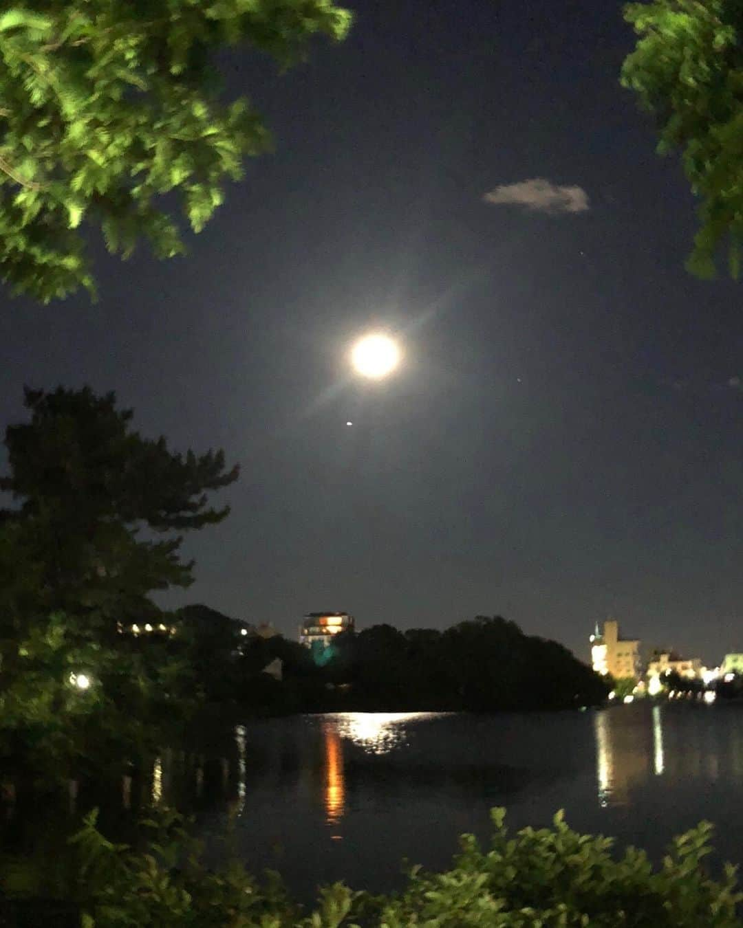 高橋ひとみさんのインスタグラム写真 - (高橋ひとみInstagram)「仕事から帰って夜のお散歩。 🌕が大きくてきれい❗️」6月16日 21時58分 - hitomi_momoe