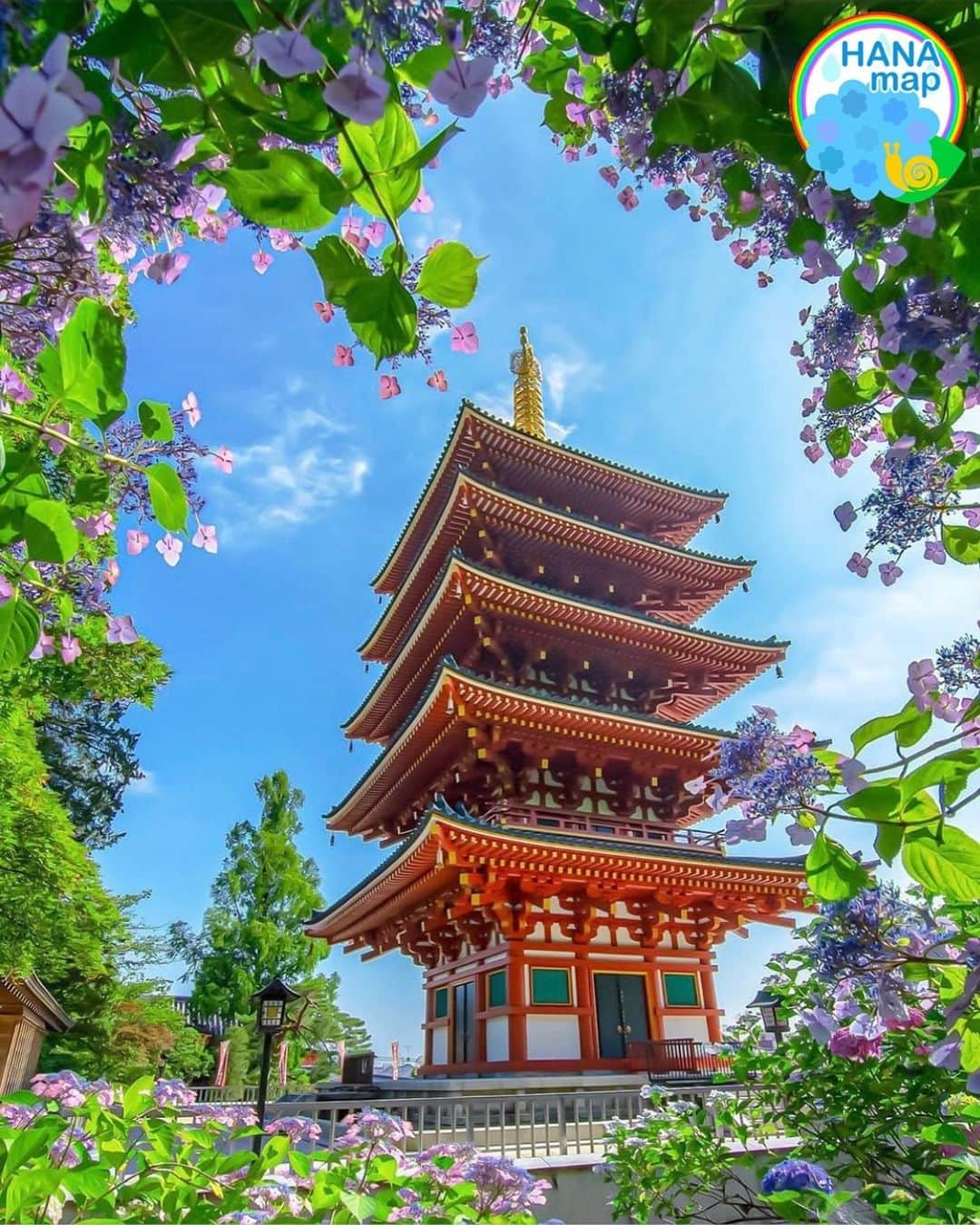 はなまっぷ❁日本の花風景さんのインスタグラム写真 - (はなまっぷ❁日本の花風景Instagram)「💠☔️はなまっぷの紫陽花まつり☔️💠 * @ri_cam93 さんの 紫陽花に花まるを💮 * 梅雨を彩る素敵な紫陽花をありがとうございます😊💠 * 東京  #高幡不動尊 Takahata Fudoson, Tokyo. * 💠アジサイの花言葉💠 家族団らん、仲良し * ☔️•••💠•••🌈•••🐸•••🌈•••💠•••☔️ * 💠紫陽花まつり概要💠 * 期間:〜6/30頃まで * タグ:#はなまっぷ イベント用タグはありません * #はなまっぷ  のタグの中から、紫陽花のお写真をどんどんご紹介させていただきます。期間中はランダムに、複数枚投稿でもご紹介させていただく場合がございます。 * #紫陽花#アジサイ#あじさい#日本#梅雨#花 * ☔️•••💠•••🌈•••🐌•••🌈•••💠•••☔️ *」6月16日 22時09分 - hanamap