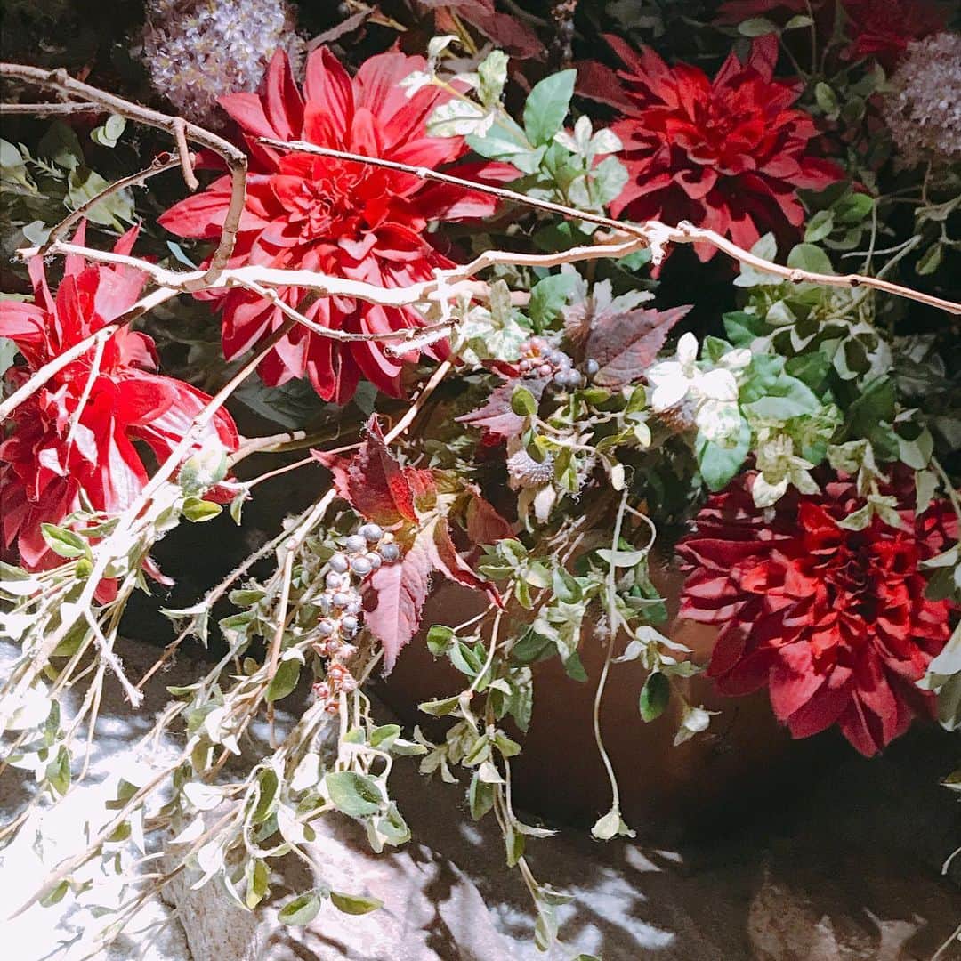 trick umekitaのグルメインスタ