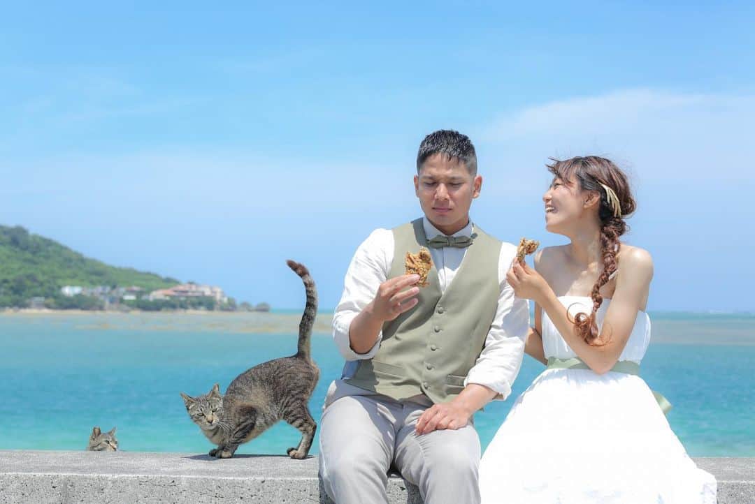 STUDIOSUNS DE&COさんのインスタグラム写真 - (STUDIOSUNS DE&COInstagram)「: 沖縄県南部には奥武島と言った素敵な島があります♩ 自慢の天ぷらと、ネコ達とゆったりとした時間はいかがでしょうか？ せっかく沖縄にきたのなら楽しまなきゃ損ですよ〜！ : スタジオ公式アカウントはこちら ご指名もお待ちしております！！ @decollte_weddingphoto : @decollte_weddingstyle : : STUDIOSUNS×SUNSHOUSE @studiosuns_okinawa : : Photgrapher 石川 加織(Kaori Ishikawa) @ishikawa_studiosuns : hair&makeup 岸本 愛(Ai Kishimoto) @ai.ksmt_studiosuns : #d_weddingphoto  #STUDIOSUNS #SUNSHOUSE #沖縄 #okinawa  #前撮り  #結婚写真 #ウエディングフォト #ブライダルフォト #フォトウエディング #カメラ好き #ビーチフォト #写真好きな人と繋がりたい  #日本中のプレ花嫁さんと繋がりたい #チェリフォト #リゾートウエディング #奥武島 #ファインダー越しの私の世界 #東京カメラ部 #ポートレート部 #cherish_photo_days #wedding #weddingphotographer #reco_ig #resortwedding #instagood #tokyocameraclub #lGersJP #like4like  #pics_jp」6月17日 0時14分 - studiosuns_okinawa
