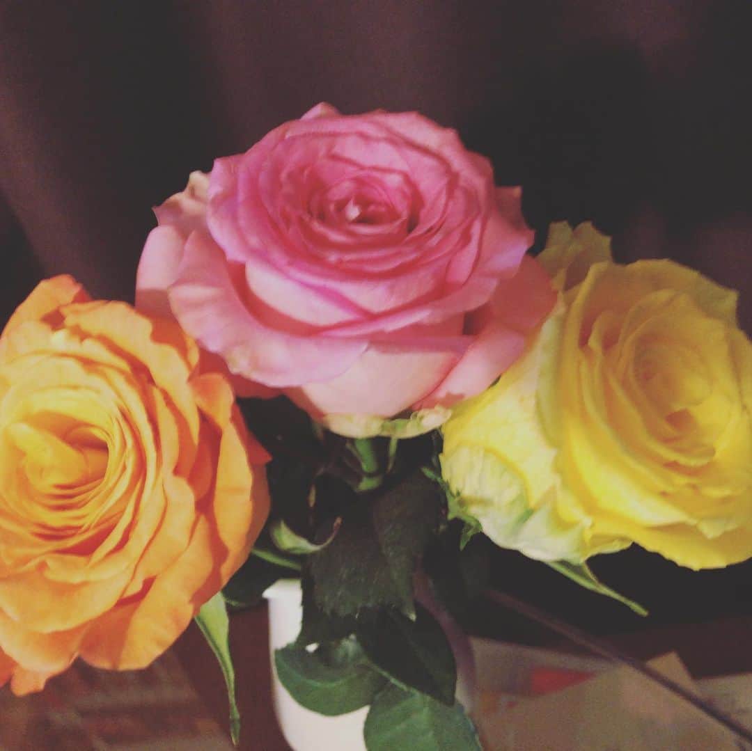 阿部洋子さんのインスタグラム写真 - (阿部洋子Instagram)「🌷 #今日のお花 買ってきてくれたー！ #thankyou 意外すぎた😊 #rose #flowers」6月17日 0時23分 - hirocoring