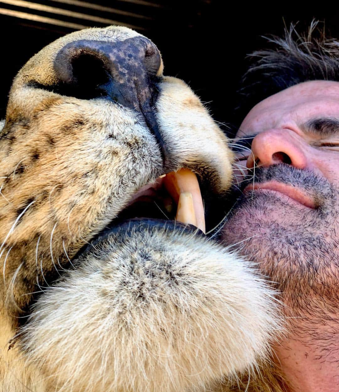 Kevin Richardson LionWhisperer のインスタグラム