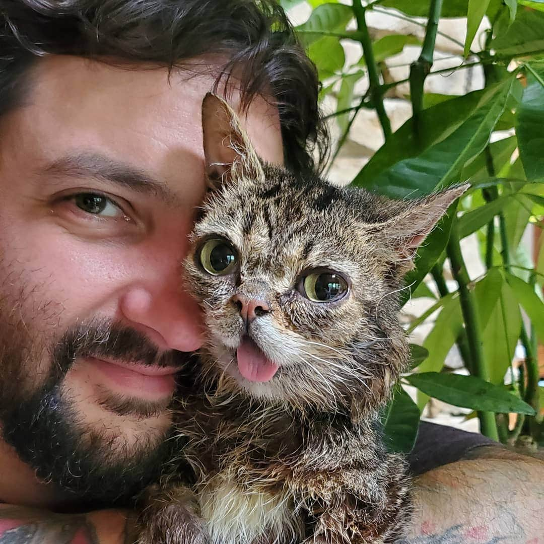 Lil BUBさんのインスタグラム写真 - (Lil BUBInstagram)「A shout out from me and BUB to cat dudes all over the universe. #lilbub」6月17日 1時53分 - iamlilbub