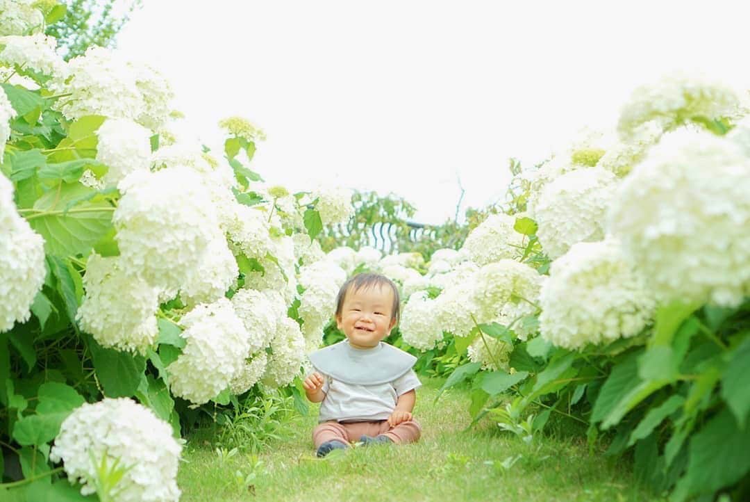 タビスルキッズのインスタグラム：「今週もよろしくお願いします😊 現在、「初夏」を楽しんでいるお写真・動画を募集中です✨ 本日の #タビスルキッズ はこちら💕 📷 @miz___778さん 🚩東京都・お台場 「シンボルプロムナード公園」 🎙ご本人コメント 今日はお友達と紫陽花フォトへ🌸 . ここ初めてきたんだけど、すごい🥺 友達と足りないね！って話ながら帰りました🤭 . 友達の写真たくさん撮らせてもらってまた勉強になった😂 ﻿﻿﻿﻿﻿＊＊＊＊＊＊ アナベルのトンネルみたいですね✨ かわいいお写真ありがとうございます💕」