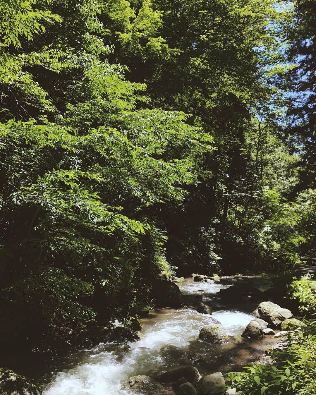 尾形沙耶香さんのインスタグラム写真 - (尾形沙耶香Instagram)「#waterfall  #nature 💚  #マイナスイオン浴」6月17日 12時55分 - sayakaogata