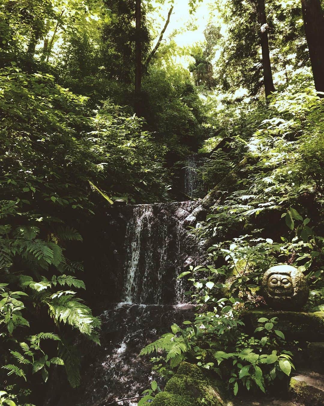 尾形沙耶香さんのインスタグラム写真 - (尾形沙耶香Instagram)「#waterfall  #nature 💚  #マイナスイオン浴」6月17日 12時55分 - sayakaogata