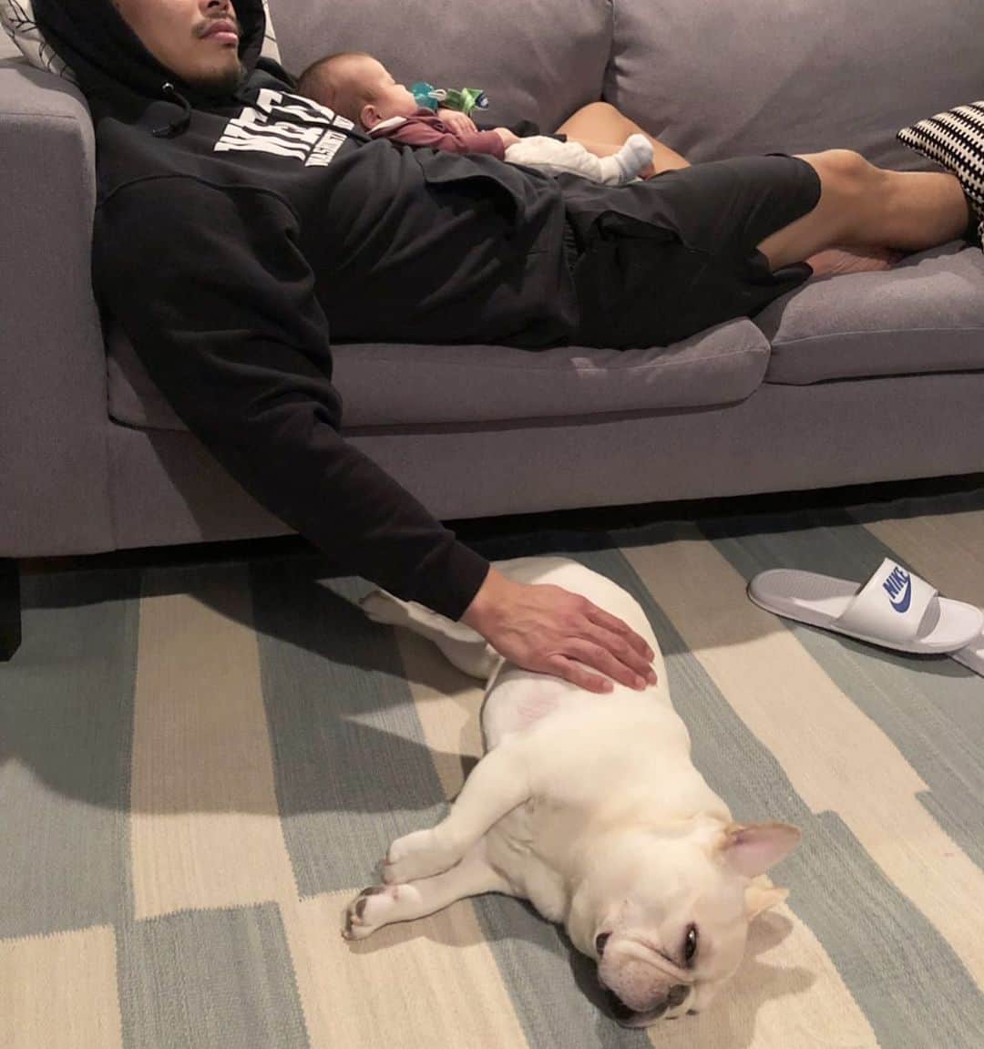 Sir Charles Barkleyさんのインスタグラム写真 - (Sir Charles BarkleyInstagram)「Thank you dad for all the rubs even though you’re busier now with sissy. You always make sure i feel included. #HappyFathersDay to you and to all the fur dads out there! #thisisreallife  #dadsarerad」6月17日 11時25分 - barkleysircharles