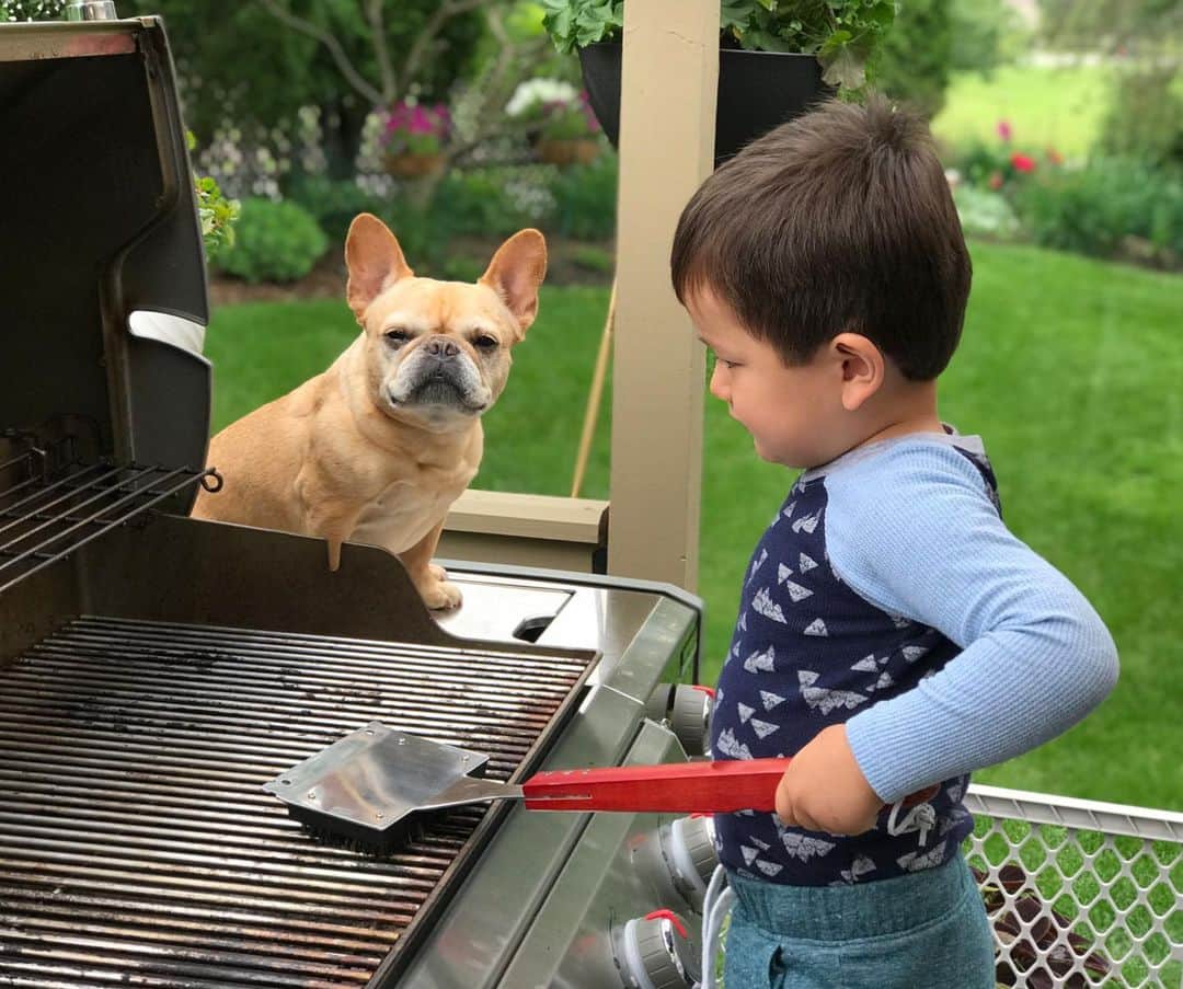 Hamlinさんのインスタグラム写真 - (HamlinInstagram)「We’re preparing for a grill fest for Father’s Day. Hope all Dads, for both bipeds and quadrupeds, are having a wonderful day! .......... #fathersday #dad」6月17日 11時32分 - hamlin_the_frenchie