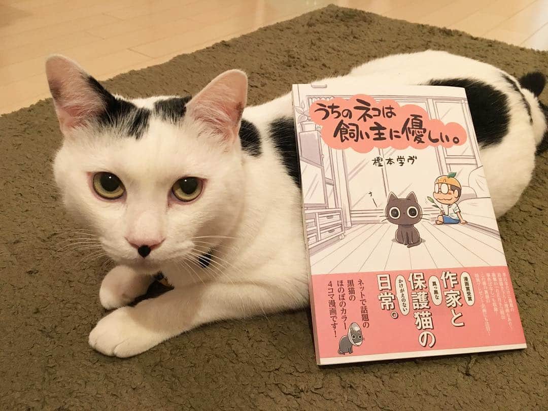 佐藤乃莉さんのインスタグラム写真 - (佐藤乃莉Instagram)「私の好きな漫画家さんの マンガゲット🐾  紙ならではの、暖かみや迫力、ページをめくるドキドキ感。  やっぱりいいな。  おすしもドヤ顔です。  猫あるある満載でほっこり🐈  #うちのネコは飼い主に優しい。#漫画#manga#instacat#love#おすし」6月17日 12時18分 - nori_sato_