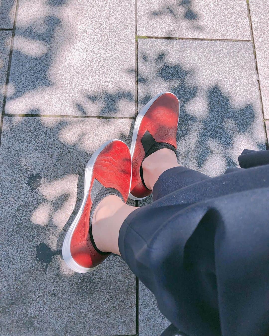 堤信子さんのインスタグラム写真 - (堤信子Instagram)「赤い革がお気に入りのペタンコ靴。歩きやすい。色違いも欲しくなる。#堤信子  #今日の靴  #gucci #靴好き」6月17日 12時29分 - nobnob1111