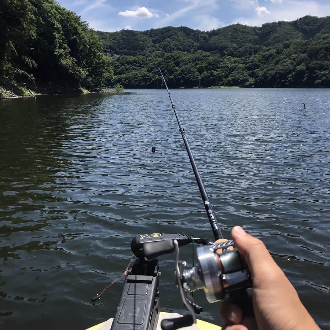 井手大介のインスタグラム：「津久井湖でバス釣りたい」