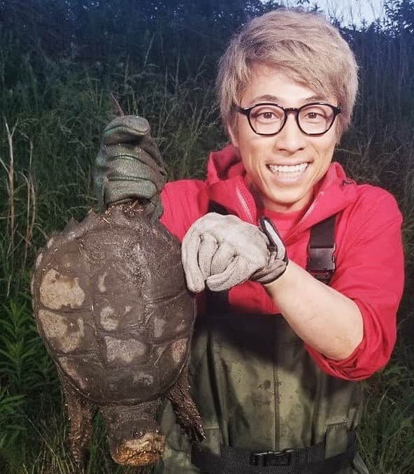 田村淳のインスタグラム：「すげえ怖かった カミツキガメ… 罠じゃなくて素手で捕獲… 渋谷でチーマーに囲まれた時より怖かった…  #カミツキガメ #池の水ぜんぶ抜く  #カメもカメラ目線」