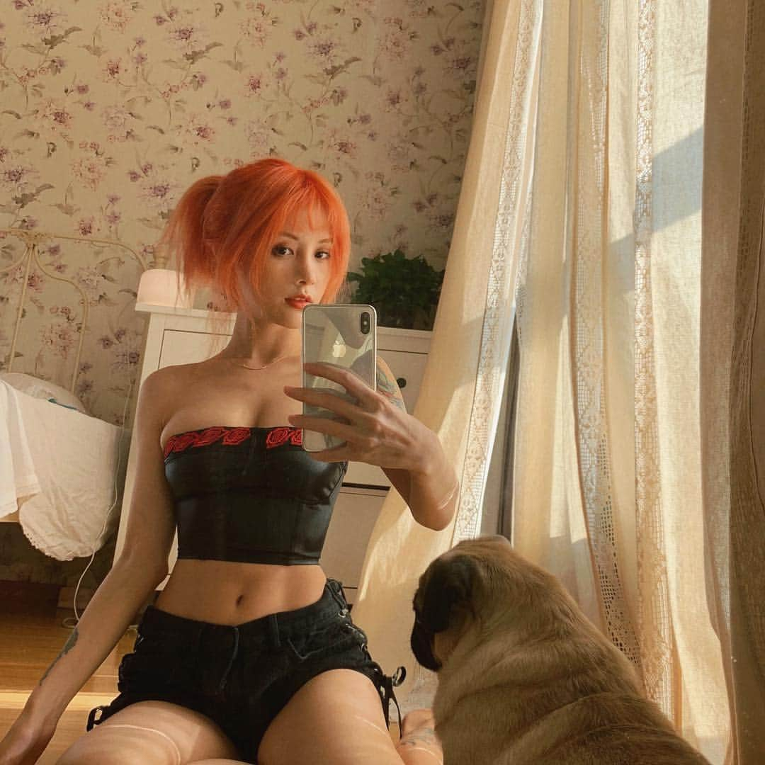 夏美さんのインスタグラム写真 - (夏美Instagram)「🐶🐱」6月17日 4時07分 - xiamei0828