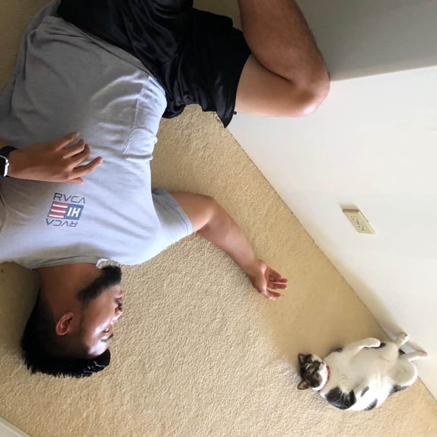 飯島寛子さんのインスタグラム写真 - (飯島寛子Instagram)「双子の次男と猫のソラくん なんか可笑しい😆 #何気ない日常 #ハワイライフ #猫のいる暮らし」6月17日 5時11分 - hirokoiijima