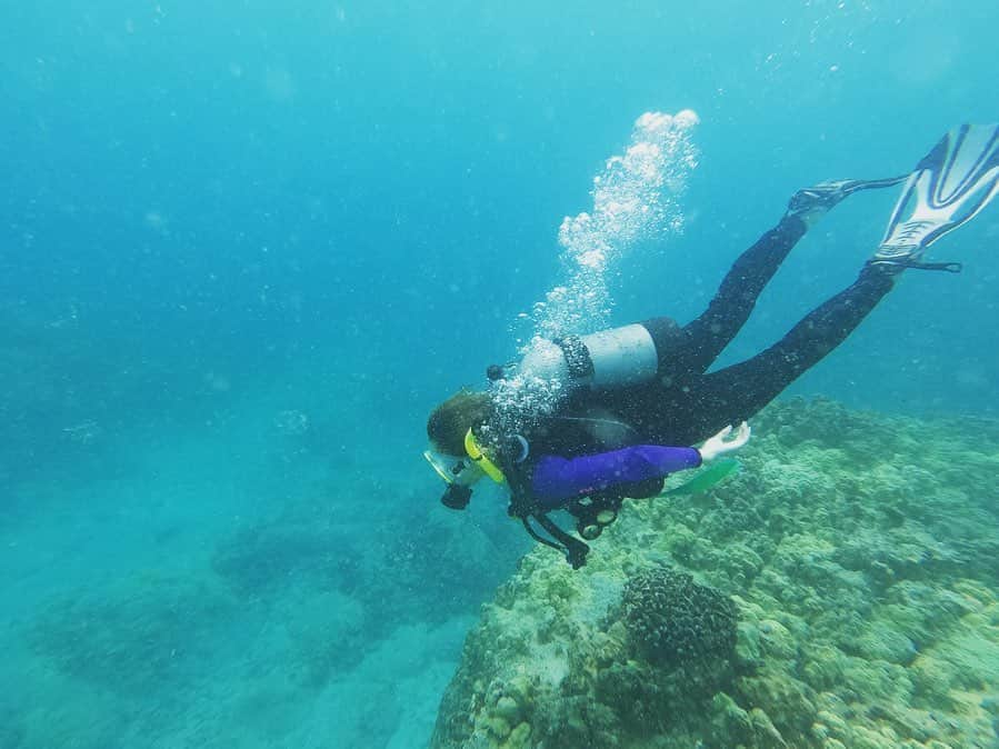 野田彩加さんのインスタグラム写真 - (野田彩加Instagram)「やっぱり海は最高♥️♥️♥️ #diving #license #padi #hawaii #海の中だとポーズ変えないと一緒だよって言われての #3枚目 #ださっ #笑」6月17日 5時46分 - aya.205