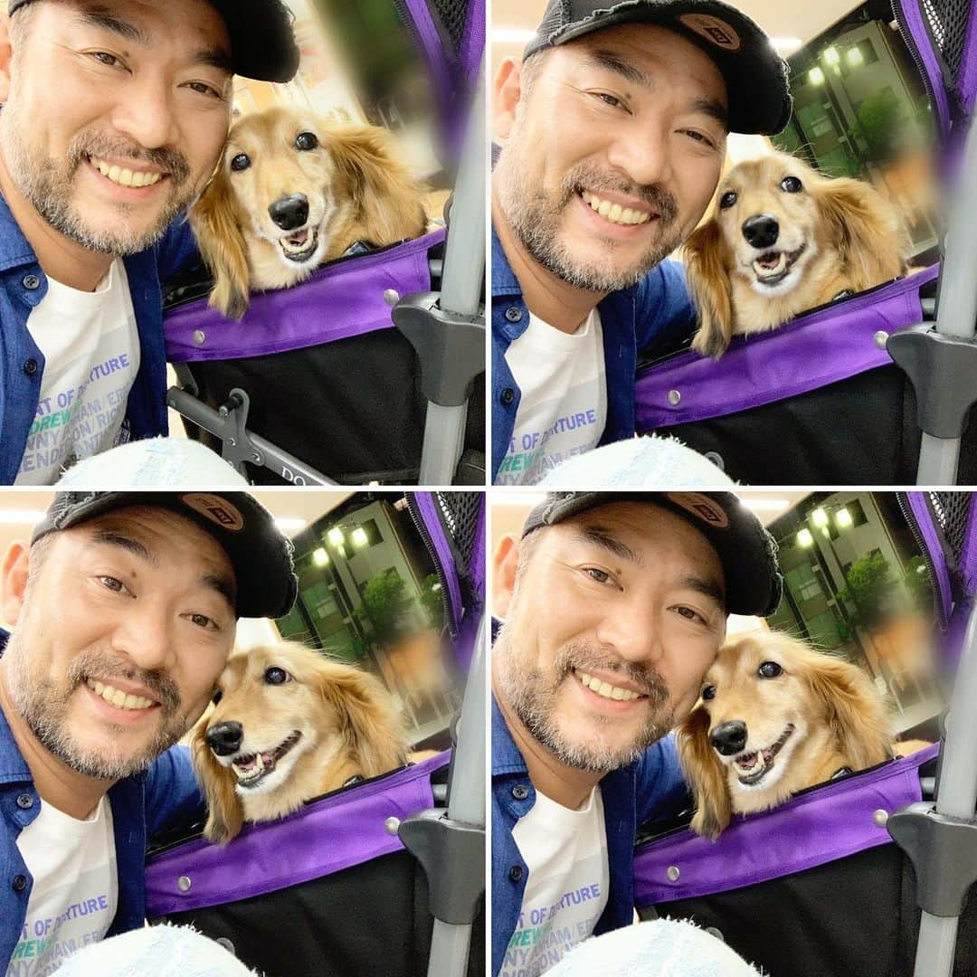 福井晶一さんのインスタグラム写真 - (福井晶一Instagram)「お久しぶりのロクちゃん  #愛犬ロク #保護犬 #ミニチュアダックス  #11歳になりました #いぬすたぐらむ  #犬バカ部  #dog  #dogstgram  #doglover #doglife  #dogsofinstagram」6月17日 7時44分 - shoichi.fukui