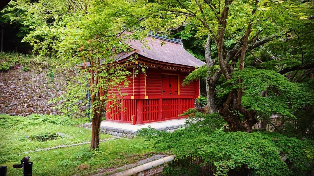 和田益典さんのインスタグラム写真 - (和田益典Instagram)「◆ 新緑の談山神社「拾弐」 . 2019年5月18日(土) スマホ撮影 . 「東宝庫」重文 . . 本殿両脇にある宝庫の "東の方" です。(名前まんま) . 校倉(あぜくら)造のギザギザ具合が良き。 . 高床式部の格子も宜し。 . これまた新緑の中で際立つ朱色ですな。 . . 宝庫って言うからには、中にはどんなお宝が収められてたんかな？ (今は中には何も無い様です) . まぁ中は空っぽでも、この建物自体が宝ですがね。 . . 西の宝庫は、メイン建物群の動線にあるので人通りが多いですが、こちら東の宝庫は訪れる人が少なく、閑静な場所にあります。 . . 正倉院や唐招提寺等に代表される経蔵(庫)や宝蔵(庫)等で用いられるこの校倉造は、他の堂宇には見られない独特の雰囲気がありますんで、その辺もチェックしながら眺めると良いかと思います。 . 個人的には石山寺の経蔵が好きですね。http://blog.livedoor.jp/drb_extra2/archives/1508504.html . . . #談山神社 #奈良 #大和路 #中臣鎌足 #多武峰 #奈良県 #桜井市 #神社 #桧皮葺 #宝庫 #スマホ写真 #朱色 #vermilion #shrine #treasury #treasure #校倉造 #文化財 #重文 #重要文化財 #color #extreme #新緑 #木造建築 #モミジ #あをによし #photostagram #photo #japan . #わだます寺社巡り . . . いつまでやるねん！ . 一ヶ月前やん！ . しつこい小出しやなー . . ってことは俺が一番分かってる。笑 . .」6月17日 8時37分 - masunori_wada