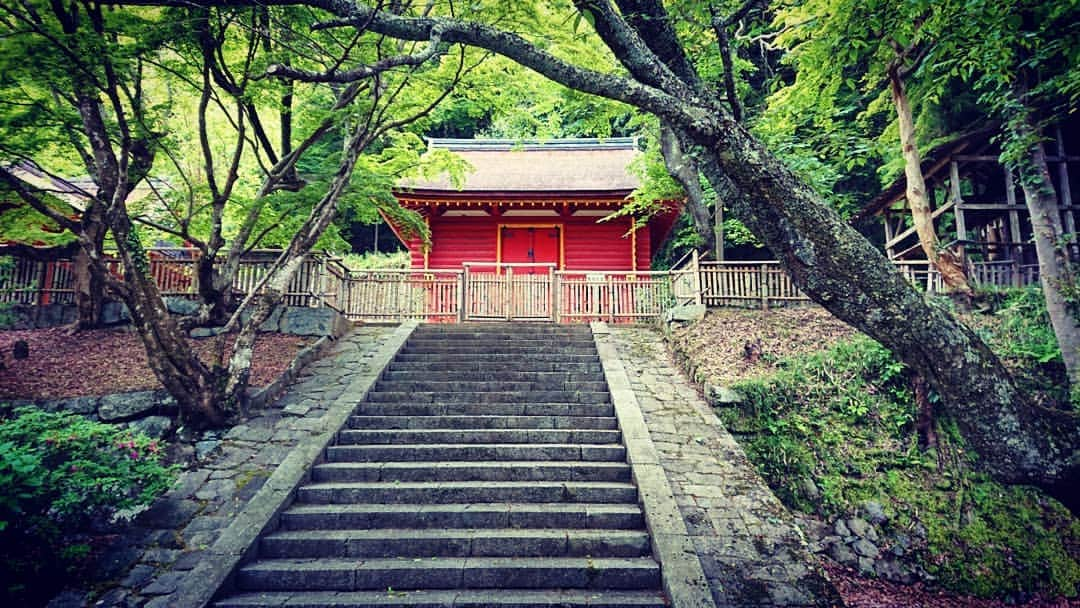 和田益典さんのインスタグラム写真 - (和田益典Instagram)「◆ 新緑の談山神社「拾弐」 . 2019年5月18日(土) スマホ撮影 . 「東宝庫」重文 . . 本殿両脇にある宝庫の "東の方" です。(名前まんま) . 校倉(あぜくら)造のギザギザ具合が良き。 . 高床式部の格子も宜し。 . これまた新緑の中で際立つ朱色ですな。 . . 宝庫って言うからには、中にはどんなお宝が収められてたんかな？ (今は中には何も無い様です) . まぁ中は空っぽでも、この建物自体が宝ですがね。 . . 西の宝庫は、メイン建物群の動線にあるので人通りが多いですが、こちら東の宝庫は訪れる人が少なく、閑静な場所にあります。 . . 正倉院や唐招提寺等に代表される経蔵(庫)や宝蔵(庫)等で用いられるこの校倉造は、他の堂宇には見られない独特の雰囲気がありますんで、その辺もチェックしながら眺めると良いかと思います。 . 個人的には石山寺の経蔵が好きですね。http://blog.livedoor.jp/drb_extra2/archives/1508504.html . . . #談山神社 #奈良 #大和路 #中臣鎌足 #多武峰 #奈良県 #桜井市 #神社 #桧皮葺 #宝庫 #スマホ写真 #朱色 #vermilion #shrine #treasury #treasure #校倉造 #文化財 #重文 #重要文化財 #color #extreme #新緑 #木造建築 #モミジ #あをによし #photostagram #photo #japan . #わだます寺社巡り . . . いつまでやるねん！ . 一ヶ月前やん！ . しつこい小出しやなー . . ってことは俺が一番分かってる。笑 . .」6月17日 8時37分 - masunori_wada