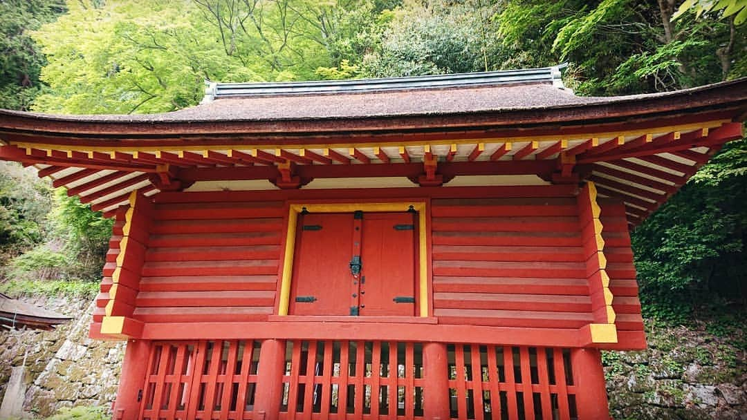 和田益典さんのインスタグラム写真 - (和田益典Instagram)「◆ 新緑の談山神社「拾弐」 . 2019年5月18日(土) スマホ撮影 . 「東宝庫」重文 . . 本殿両脇にある宝庫の "東の方" です。(名前まんま) . 校倉(あぜくら)造のギザギザ具合が良き。 . 高床式部の格子も宜し。 . これまた新緑の中で際立つ朱色ですな。 . . 宝庫って言うからには、中にはどんなお宝が収められてたんかな？ (今は中には何も無い様です) . まぁ中は空っぽでも、この建物自体が宝ですがね。 . . 西の宝庫は、メイン建物群の動線にあるので人通りが多いですが、こちら東の宝庫は訪れる人が少なく、閑静な場所にあります。 . . 正倉院や唐招提寺等に代表される経蔵(庫)や宝蔵(庫)等で用いられるこの校倉造は、他の堂宇には見られない独特の雰囲気がありますんで、その辺もチェックしながら眺めると良いかと思います。 . 個人的には石山寺の経蔵が好きですね。http://blog.livedoor.jp/drb_extra2/archives/1508504.html . . . #談山神社 #奈良 #大和路 #中臣鎌足 #多武峰 #奈良県 #桜井市 #神社 #桧皮葺 #宝庫 #スマホ写真 #朱色 #vermilion #shrine #treasury #treasure #校倉造 #文化財 #重文 #重要文化財 #color #extreme #新緑 #木造建築 #モミジ #あをによし #photostagram #photo #japan . #わだます寺社巡り . . . いつまでやるねん！ . 一ヶ月前やん！ . しつこい小出しやなー . . ってことは俺が一番分かってる。笑 . .」6月17日 8時37分 - masunori_wada