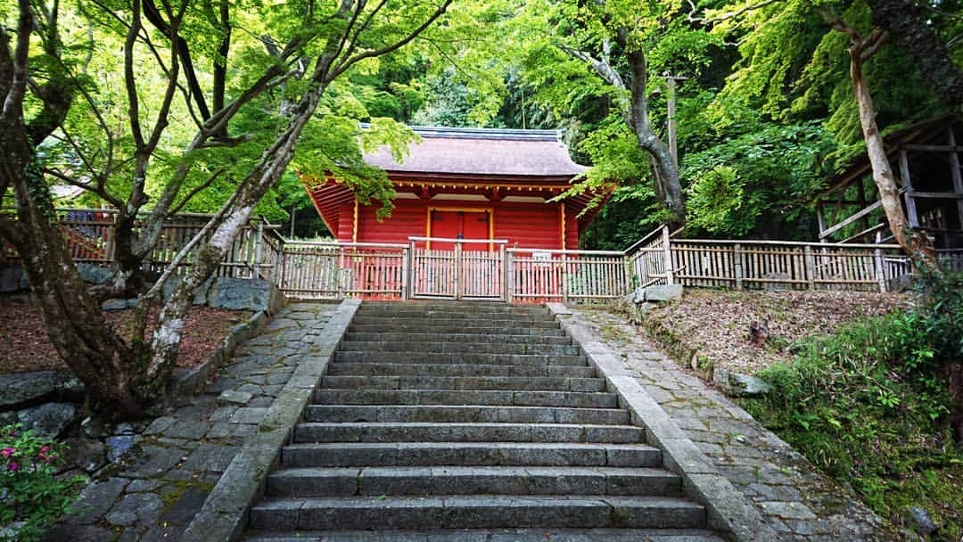 和田益典さんのインスタグラム写真 - (和田益典Instagram)「◆ 新緑の談山神社「拾弐」 . 2019年5月18日(土) スマホ撮影 . 「東宝庫」重文 . . 本殿両脇にある宝庫の "東の方" です。(名前まんま) . 校倉(あぜくら)造のギザギザ具合が良き。 . 高床式部の格子も宜し。 . これまた新緑の中で際立つ朱色ですな。 . . 宝庫って言うからには、中にはどんなお宝が収められてたんかな？ (今は中には何も無い様です) . まぁ中は空っぽでも、この建物自体が宝ですがね。 . . 西の宝庫は、メイン建物群の動線にあるので人通りが多いですが、こちら東の宝庫は訪れる人が少なく、閑静な場所にあります。 . . 正倉院や唐招提寺等に代表される経蔵(庫)や宝蔵(庫)等で用いられるこの校倉造は、他の堂宇には見られない独特の雰囲気がありますんで、その辺もチェックしながら眺めると良いかと思います。 . 個人的には石山寺の経蔵が好きですね。http://blog.livedoor.jp/drb_extra2/archives/1508504.html . . . #談山神社 #奈良 #大和路 #中臣鎌足 #多武峰 #奈良県 #桜井市 #神社 #桧皮葺 #宝庫 #スマホ写真 #朱色 #vermilion #shrine #treasury #treasure #校倉造 #文化財 #重文 #重要文化財 #color #extreme #新緑 #木造建築 #モミジ #あをによし #photostagram #photo #japan . #わだます寺社巡り . . . いつまでやるねん！ . 一ヶ月前やん！ . しつこい小出しやなー . . ってことは俺が一番分かってる。笑 . .」6月17日 8時37分 - masunori_wada