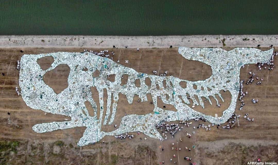 レオナルド・ディカプリオさんのインスタグラム写真 - (レオナルド・ディカプリオInstagram)「#Regram #RG @abcnews: Massive 223-ft. shape of a whale made of plastic waste collected from the ocean, in event in China raising awareness of sea pollution. #pollution #environment #ocean #whales #beaches」6月17日 8時53分 - leonardodicaprio