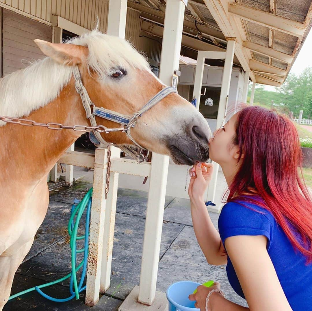 ツナマヨさんのインスタグラム写真 - (ツナマヨInstagram)6月17日 9時25分 - tunamayo0113