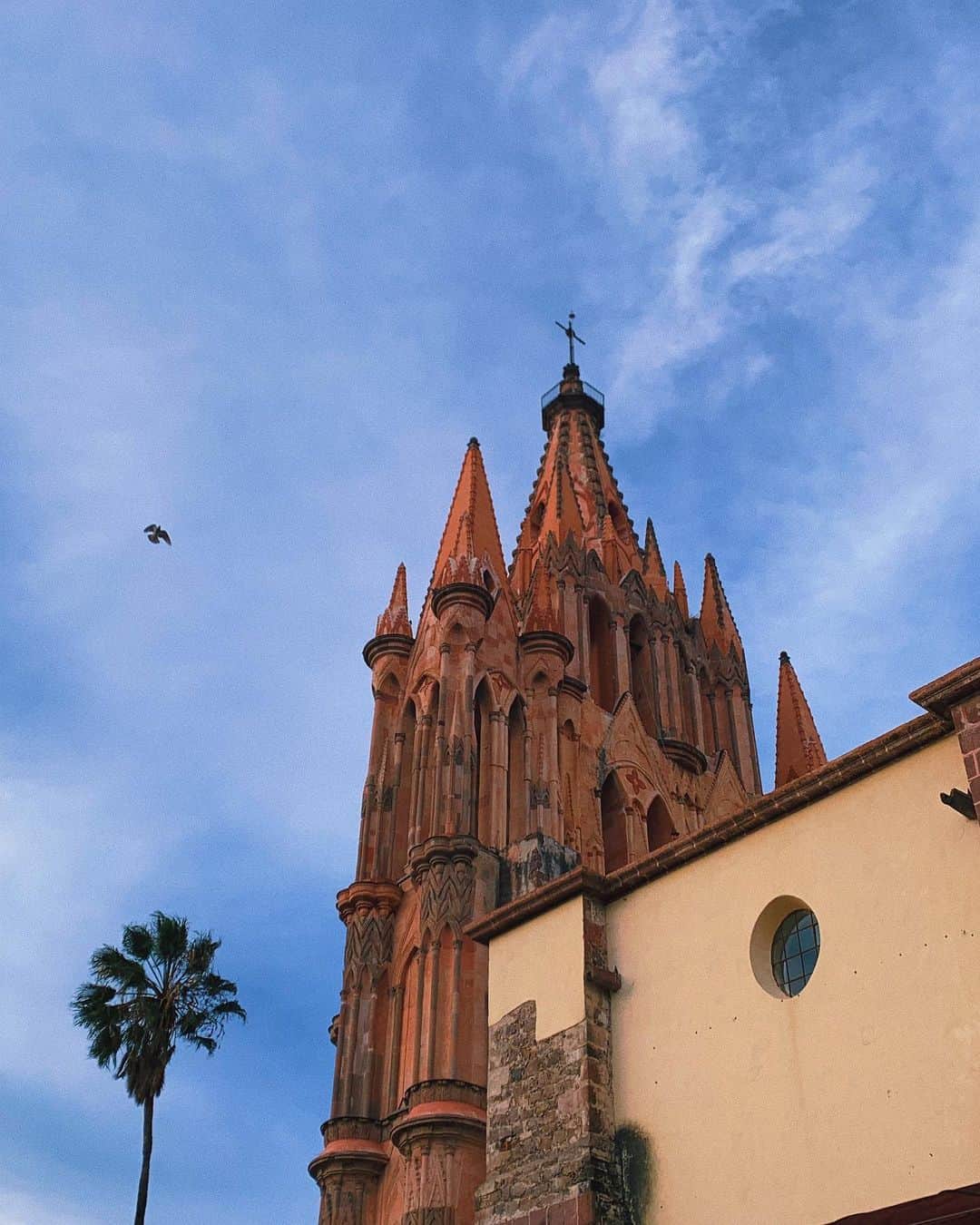 Ana Brenda Contrerasのインスタグラム：「MEX I CAN 🇲🇽 The most beautiful country in the world with the most beautiful, warm hearted people // Tenemos el país mas hermoso del mundo con la Gente más bonita! ¡Cuidémoslo! ¡Viva México! ❤️」